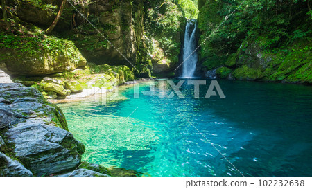 Nikobuchi (Niyodo Blue) 102232638