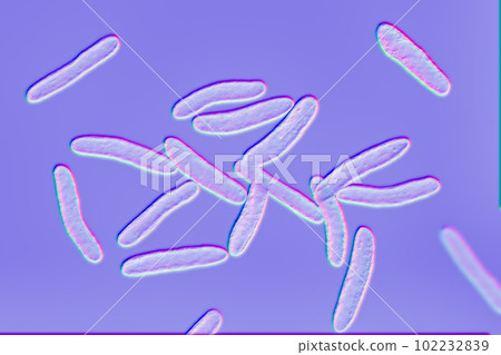 Pseudoalteromonas tetraodonis bacteria, 3D illustration. Marine bacteria living in surface slime of the puffer fish and secreting neurotoxin, tetrodotoxin 102232839