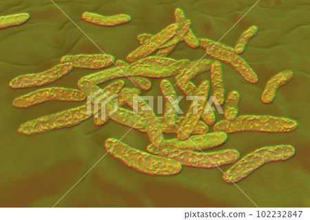 Pseudoalteromonas tetraodonis bacteria, 3D illustration. Marine bacteria living in surface slime of the puffer fish and secreting neurotoxin, tetrodotoxin Pseudoalteromonas tetraodonis bacteria, 3D illustration. Marine bacteria living in surface slime of the puffer fish and secreting neurotoxin, tetrodotoxin 102232847