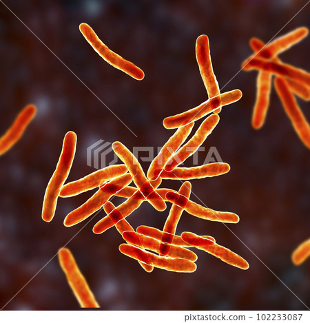 Mycobacterium ulcerans, the causative agent of Buruli ulcer, 3D illustration Mycobacterium ulcerans, the causative agent of Buruli ulcer, 3D illustration 102233087