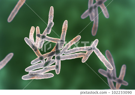 Mycobacterium ulcerans, the causative agent of Buruli ulcer, 3D illustration Mycobacterium ulcerans, the causative agent of Buruli ulcer, 3D illustration 102233090