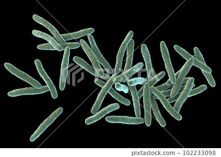 Mycobacterium ulcerans, the causative agent of Buruli ulcer, 3D illustration Mycobacterium ulcerans, the causative agent of Buruli ulcer, 3D illustration 102233098