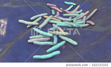 Mycobacterium ulcerans, the causative agent of Buruli ulcer, 3D illustration 102233101