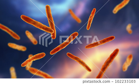 Bacteria Mycobacterium bovis, illustration Bacteria Mycobacterium bovis, illustration 102233103