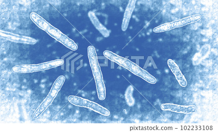 Bacteria Mycobacterium tuberculosis, 3D illustration 102233108