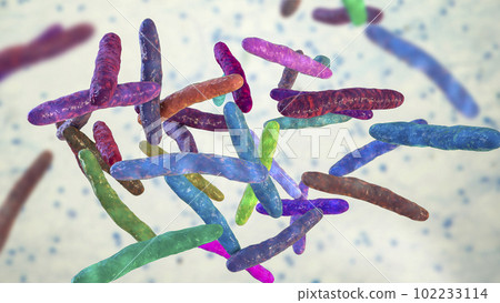 Bacteria Mycobacterium bovis, illustration 102233114