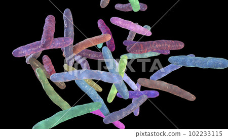 Bacteria Mycobacterium bovis, illustration 102233115