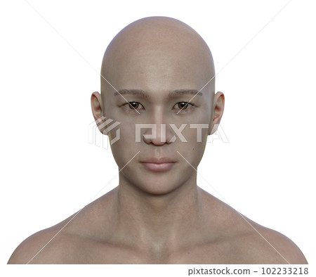 A photorealistic portrait of an Asian man looking at camera, 3D illustration A photorealistic portrait of an Asian man looking at camera, 3D illustration 102233218
