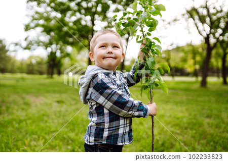 Planting a family tree. Little boy helping his grandfather to plant the tree while working together. Planting a family tree. Little boy helping his grandfather to plant the tree while working together. 102233823