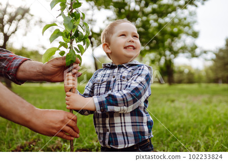 Planting family tree. Little boy helping his grandfather to plant tree. Fun little gardener. Planting family tree. Little boy helping his grandfather to plant tree. Fun little gardener. 102233824