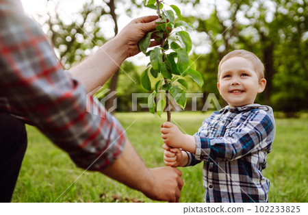 Planting family tree. Little boy helping his grandfather to plant tree. Fun little gardener. Planting family tree. Little boy helping his grandfather to plant tree. Fun little gardener. 102233825