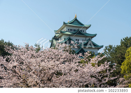 四月從名城公園看到的名古屋城 102233893