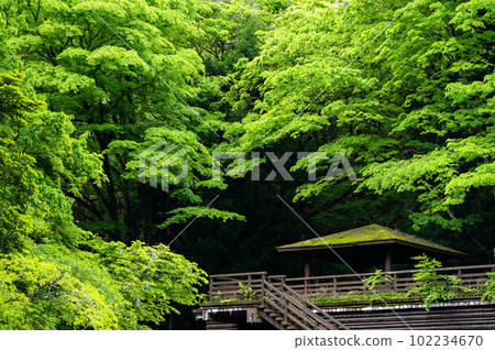 Fresh green rest area combination 102234670