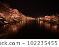 一排櫻花樹依稀蔓延 102235455