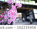 和諧與鮮花的和諧 102235456