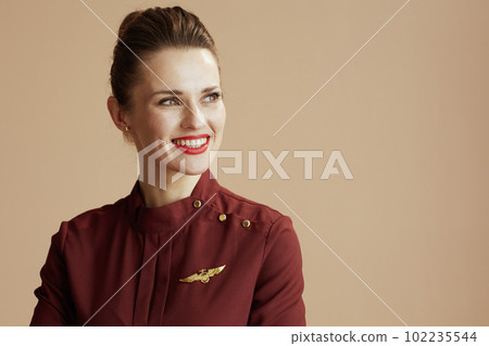 happy stylish female air hostess looking at copy space 102235544