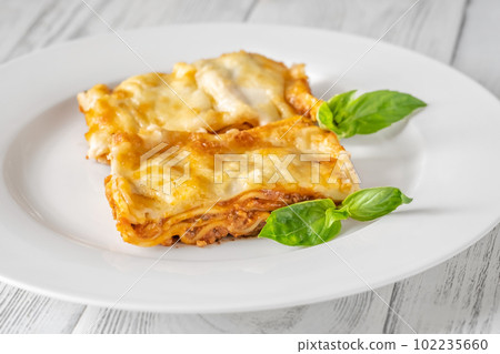 Portion of lasagna Portion of lasagna 102235660