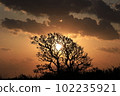 Landscape at dusk 102235921