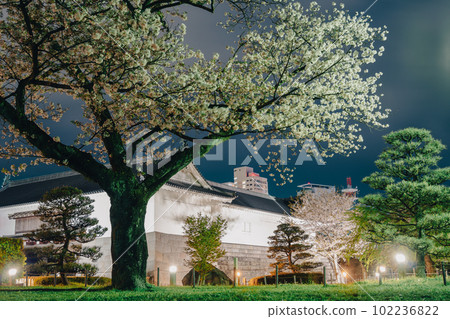 Sunpu Castle Park with cherry blossoms at night in Shizuoka, Japan 102236822