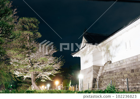 Sunpu Castle Park night scenery in Shizuoka, Japan 102236823