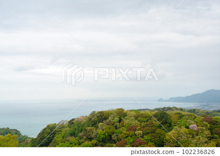Nihondaira mountain forest and sea in Shizuoka, Japan Nihondaira mountain forest and sea in Shizuoka, Japan 102236826