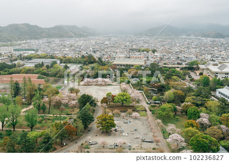 Sunpu park and city panoramic view at spring in Shizuoka, Japan 102236827