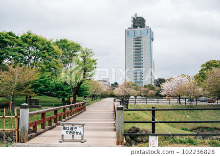 Spring of Sunpu Park in Shizuoka, Japan 102236828