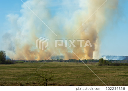 Raging bushfire beyond the horizon, fire threatens homes standing on the edge of the forest Raging bushfire beyond the horizon, fire threatens homes standing on the edge of the forest 102236836