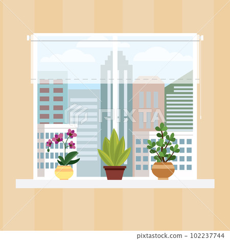 Wall of room with window,curtain and pots with flowers 102237744