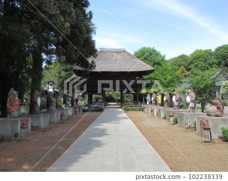 群馬縣館林市的茂林寺 群馬縣館林市的茂林寺 102238339