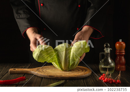 The chef or cook makes a fresh cabbage salad. Preparation for slicing in the kitchen. Vegetable diet idea or Jewish cuisine. 102238735