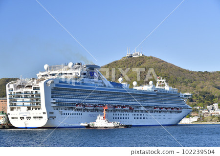 Photographing the scenery of the cruise ship Diamond Princess, which is docking at Hakodate Port in Hakodate City, Hokkaido in spring. 102239504