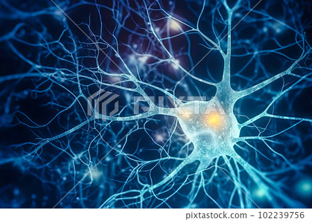 An image of neurons involved in the stress response, such as those in the hypothalamus and amygdala. Generative AI. 102239756