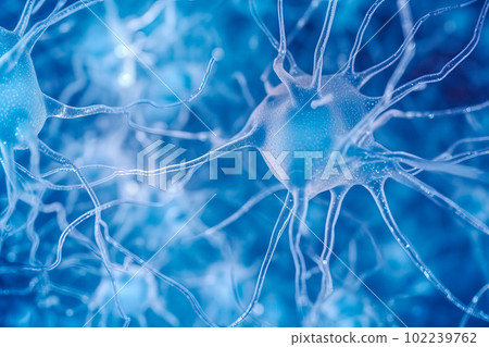 An image of neurons involved in perception, such as those in the visual and auditory cortices. Generative AI. 102239762