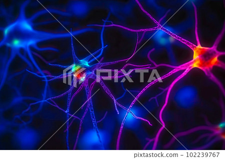 An image of neurons involved in reward prediction, such as those in the orbitofrontal cortex. Generative Ai. 102239767