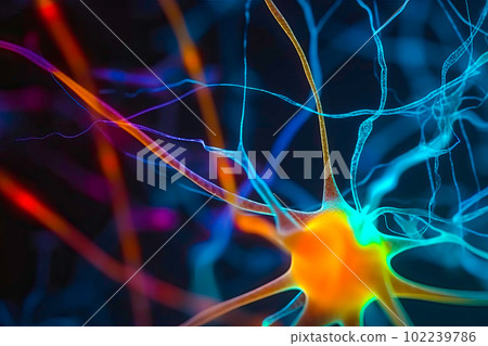 An image of neurons involved in language comprehension, such as those in the superior temporal gyrus. Generative Ai. 102239786