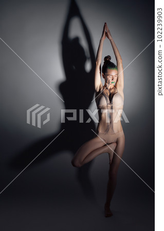 pretty sporty female doing stretching yoga exercises indoors pretty sporty female doing stretching yoga exercises indoors 102239903
