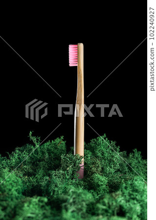 Eco friendly product concept. Zero waste bamboo toothbrush with pink bristle with stabilised green moss on black background. Biodegradable material. Natural organic wooden brush. Safe the earth. Eco friendly product concept. Zero waste bamboo toothbrush with pink bristle with stabilised green moss on black background. Biodegradable material. Natural organic wooden brush. Safe the earth. 102240927