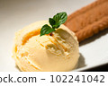 香草冰淇淋和餅乾 102241042