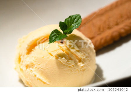 香草冰淇淋和餅乾 102241042