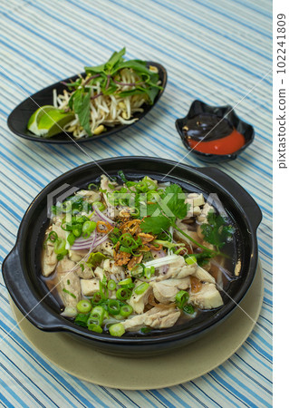Classic Vietnamese chicken noodle vertical photo Classic Vietnamese chicken noodle vertical photo 102241809