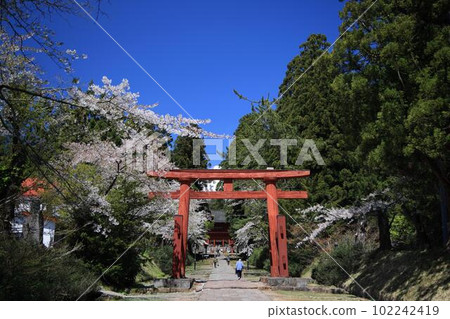 Iwakiyama神社在春天 102242419