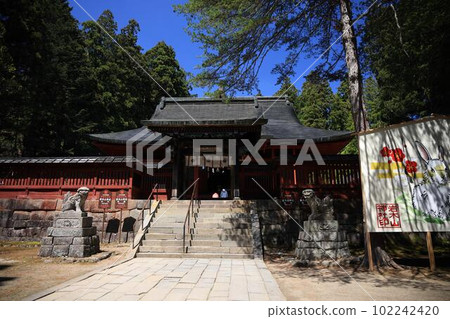 Iwakiyama神社在春天 102242420