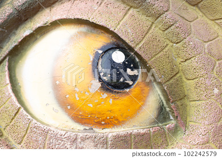 Objects at the Fukui Prefectural Dinosaur Museum Objects at the Fukui Prefectural Dinosaur Museum 102242579