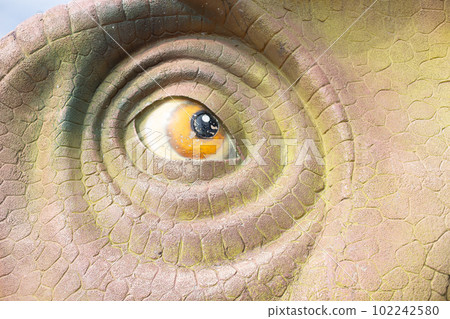 Objects at the Fukui Prefectural Dinosaur Museum 102242580