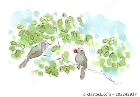 A watercolor illustration of a bulbul holding a red berry and a friend looking enviously A watercolor illustration of a bulbul holding a red berry and a friend looking enviously 102242937