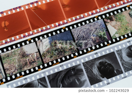 Types of 35mm film (color negative, monochrome, reversal) Types of 35mm film (color negative, monochrome, reversal) 102243029