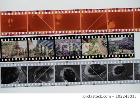 35mm膠片的種類（彩色負片、黑白、反轉片） 102243033
