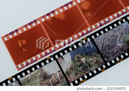 35mm彩色負片和彩色正片 102243035