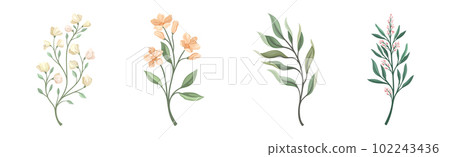 Floral Branches and Twigs with Leafy Stalk or Stem Vector Set 102243436